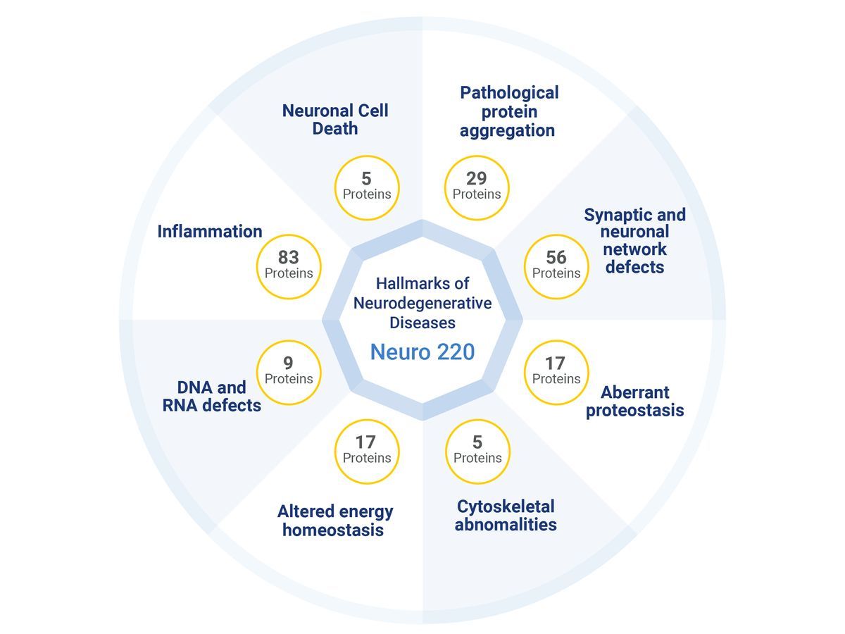 NULISAseq Neuro 220 Panel covers the Hallmarks of Neurodegenerative Diseases