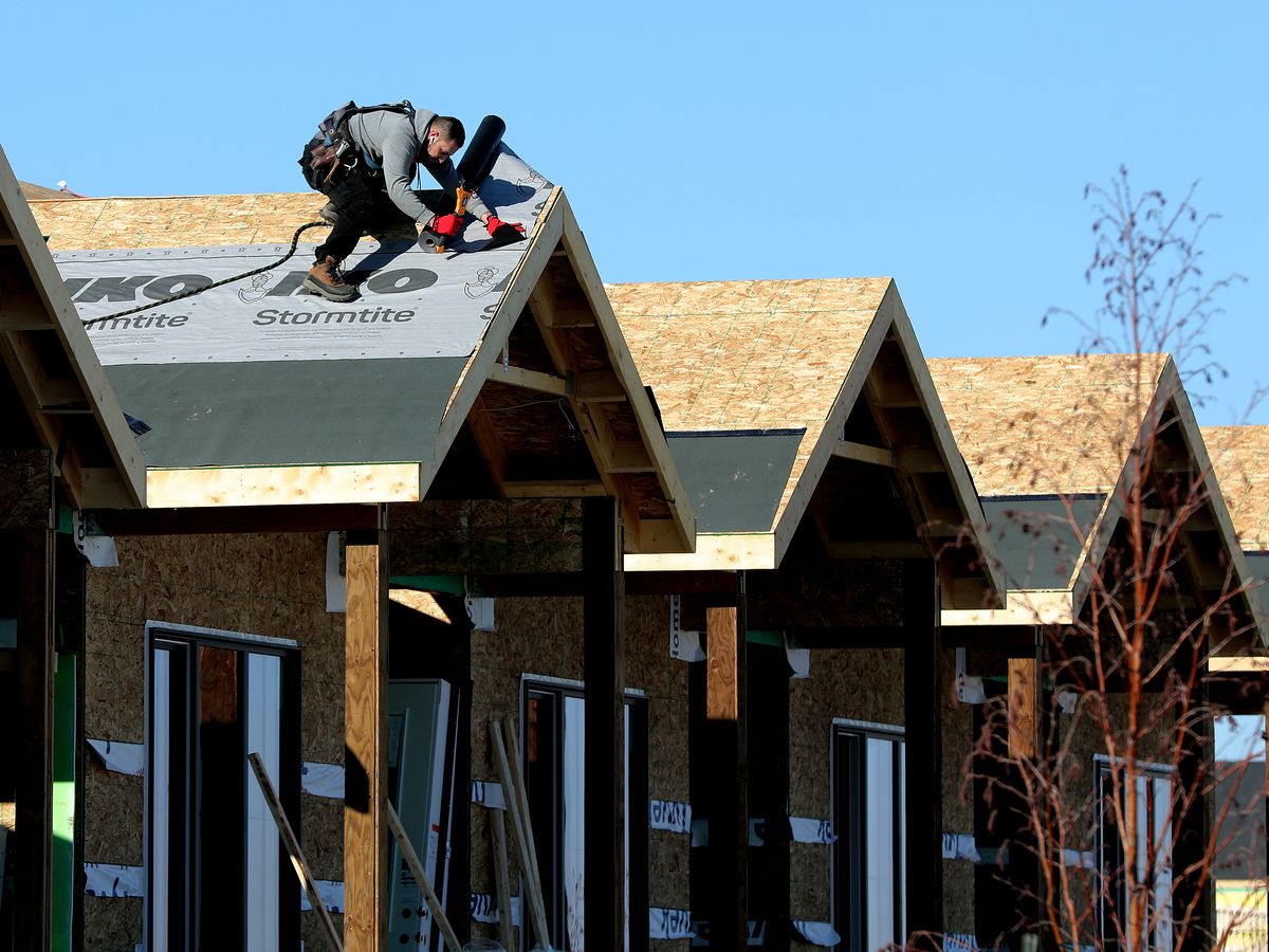 Rental apartments led housing starts in 2025, as new ownership-geared builds decline