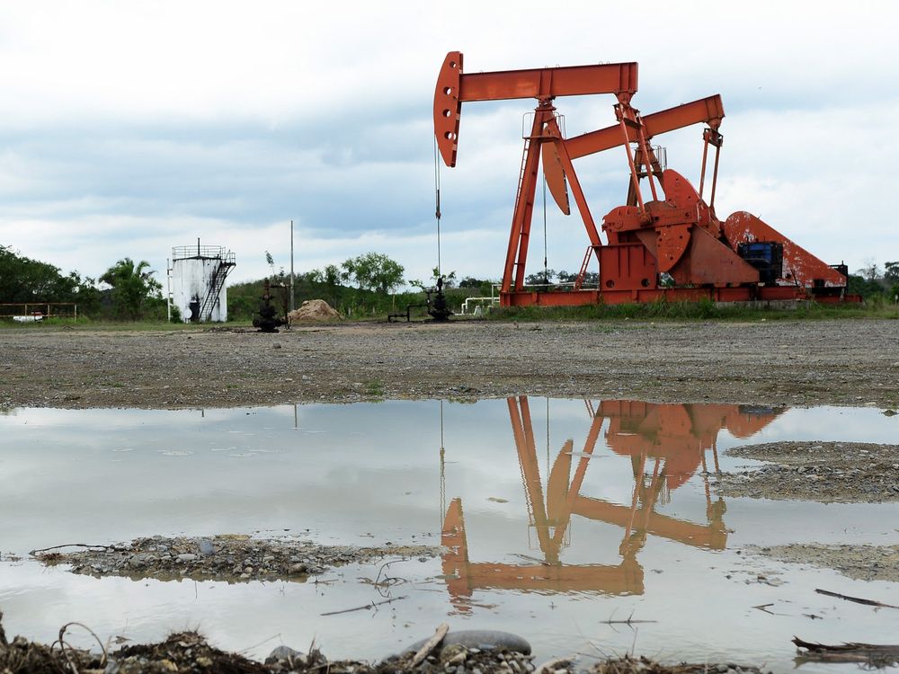 Canadian energy firms to pay debt, shareholders amid price surge