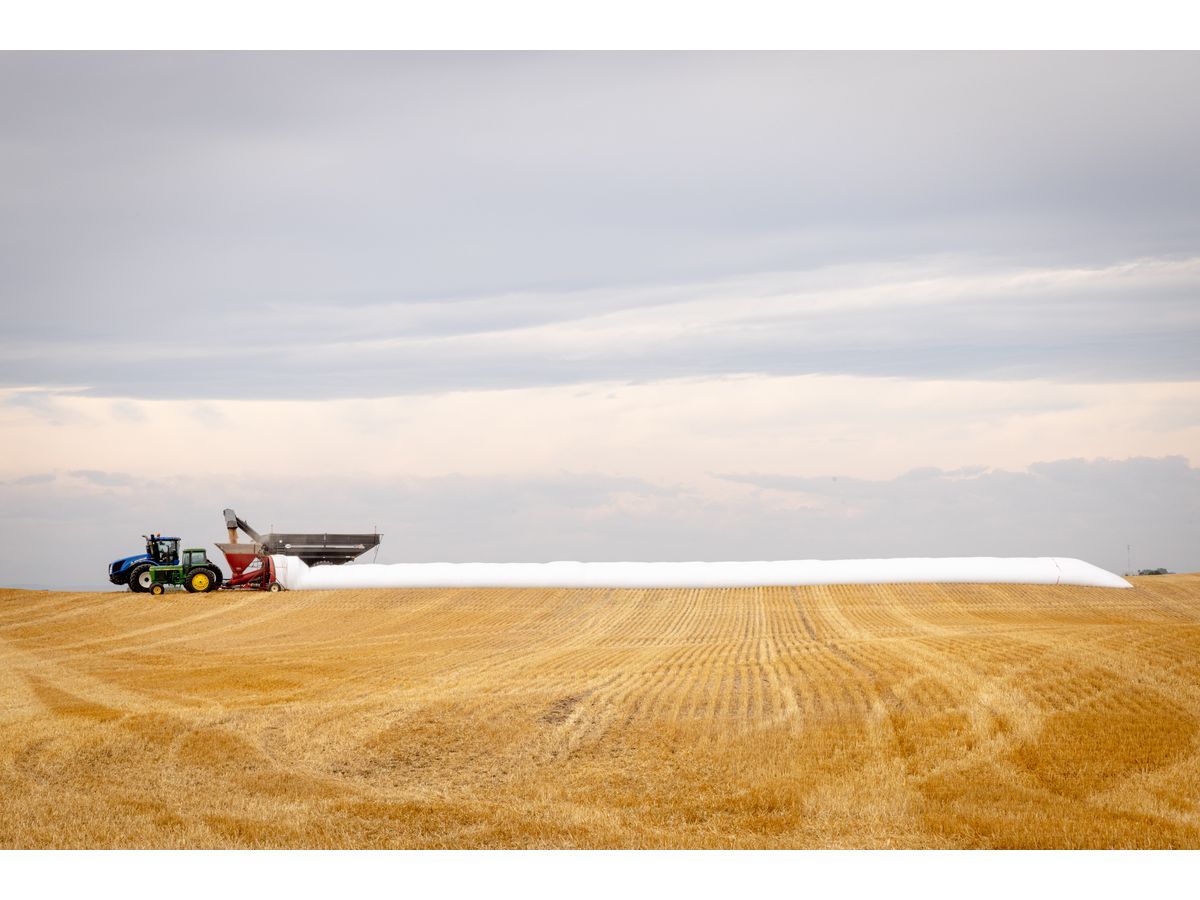 Grain bags provide flexible storage solutions for harvested grains like corn, wheat, soybeans and pulses; then once used growers bring them to Cleanfarms knowing they will be recycled into new products like dimensional lumber, plastic sheeting and agricultural fence posts.