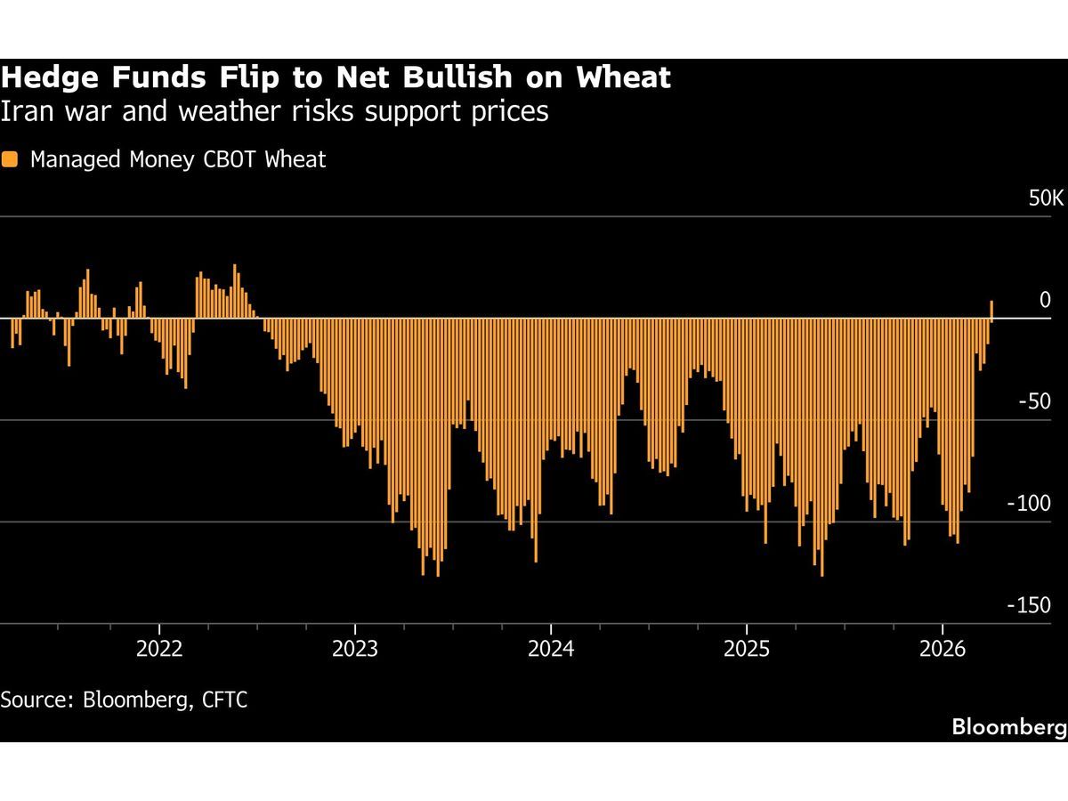 Hedge Funds Turn Bullish on Wheat for First Time in Four Years Amid Supply Concerns