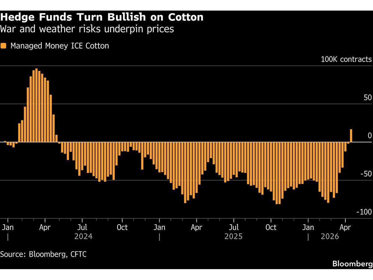 Hedge Funds Turn Bullish on Cotton for First Time in Two Years