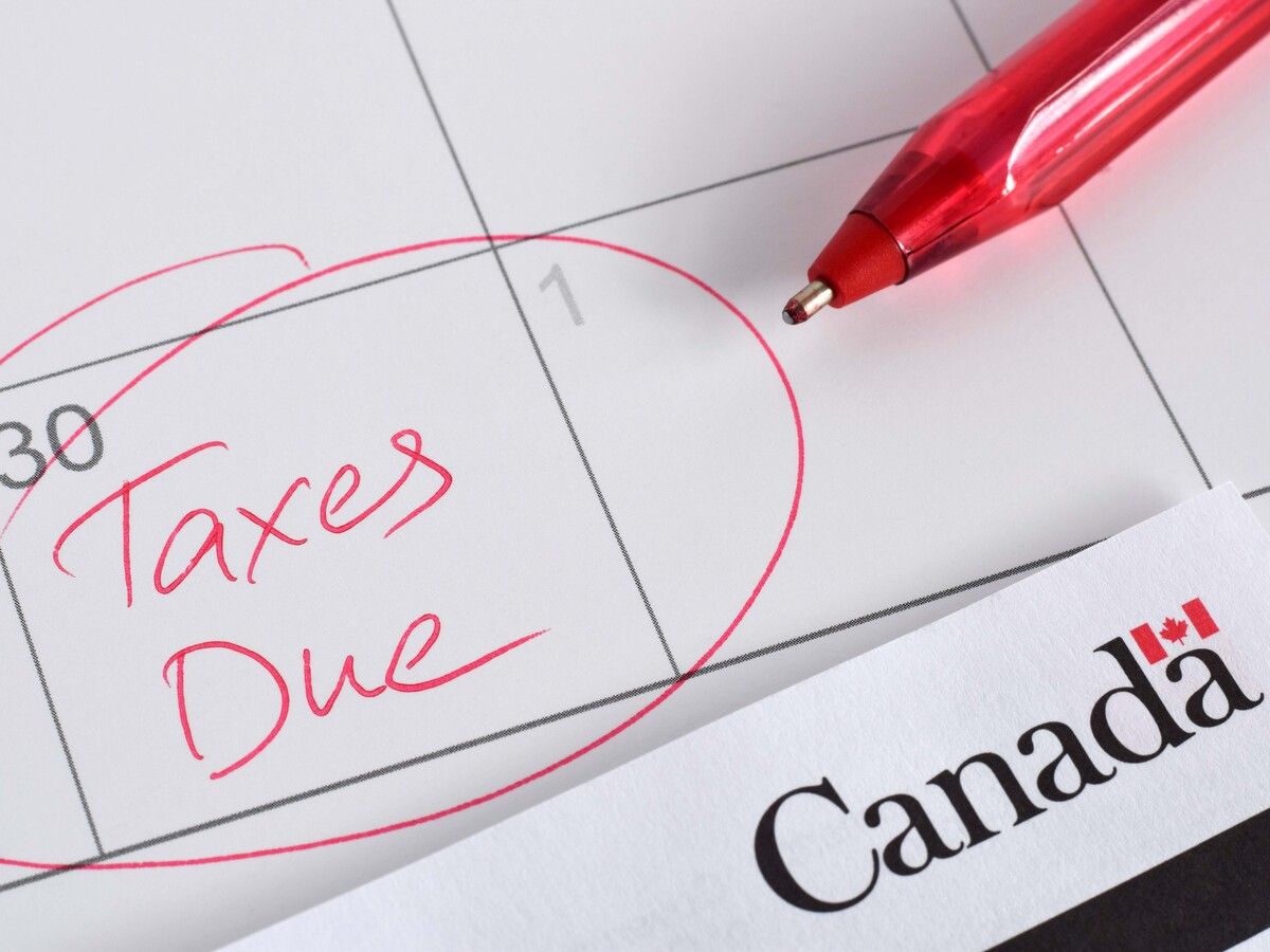 Three steps to make filing your tax return to the CRA less painful