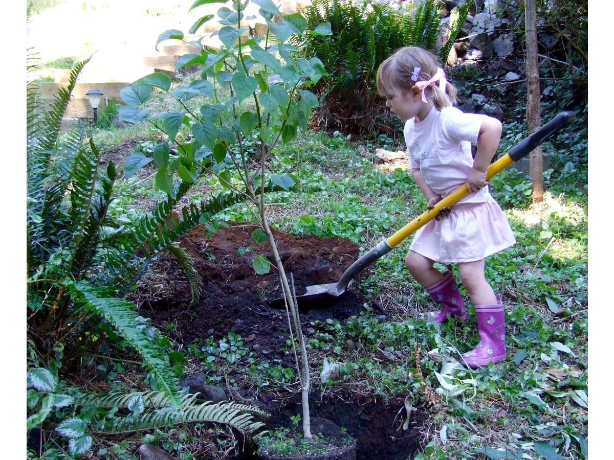  Andrea Koehle Jones / The ChariTree Foundation