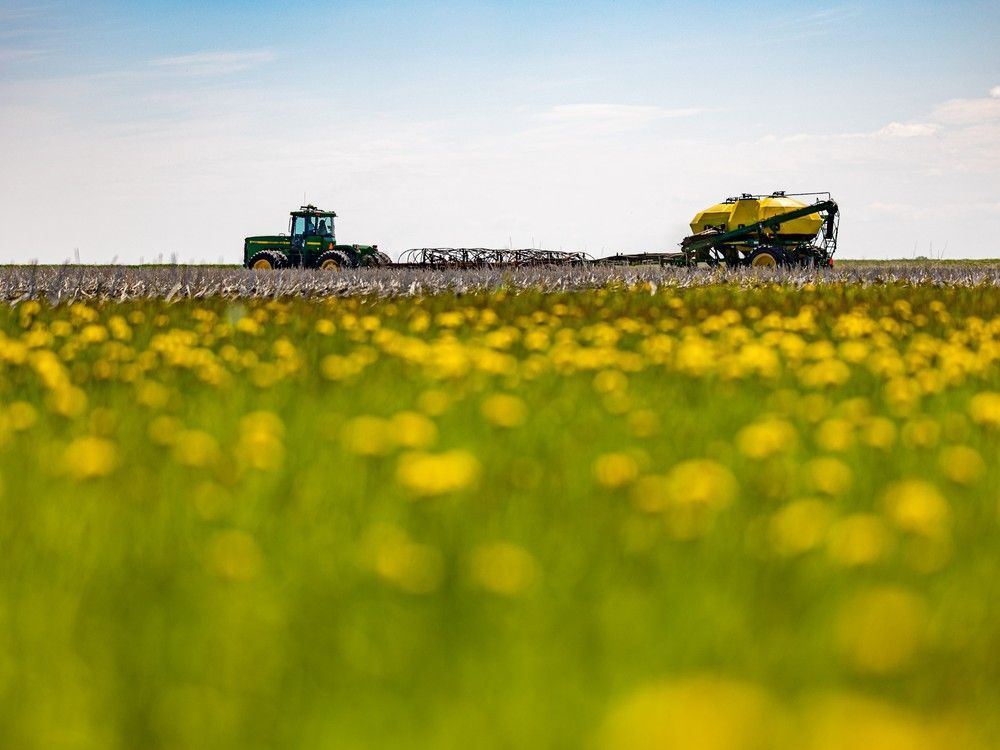 https://smartcdn.gprod.postmedia.digital/financialpost/wp-content/uploads/2026/05/0528-news-farming-seeding-20_286414664.jpg