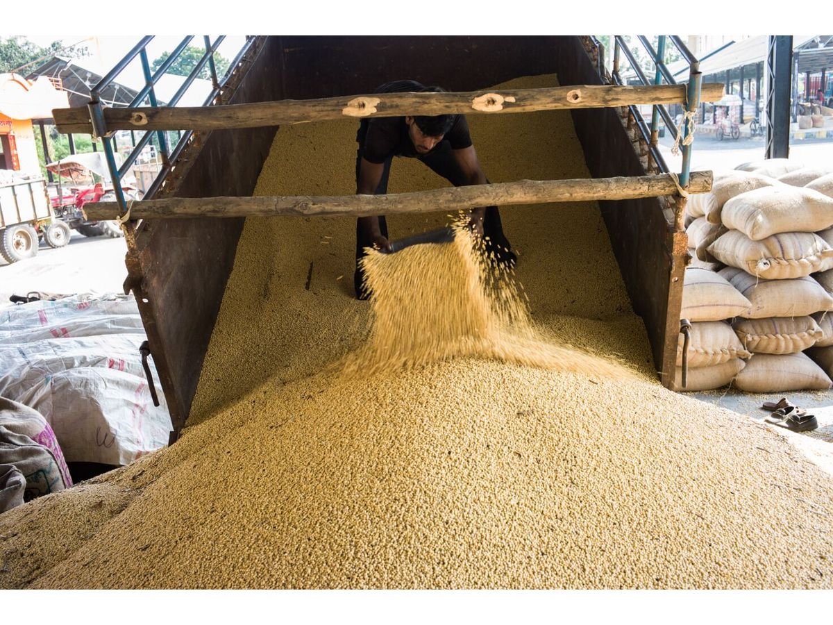 Grain and Oilseed Futures Slide on Middle East War Optimism?