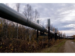 The Trans-Alaska Pipeline in Fairbanks, Alaska.