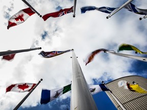 flags