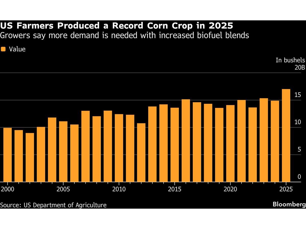 Ethanol Gasoline Push Faces Key US Vote With Outcome Uncertain? — KRIPTO — ERYU PROJECT