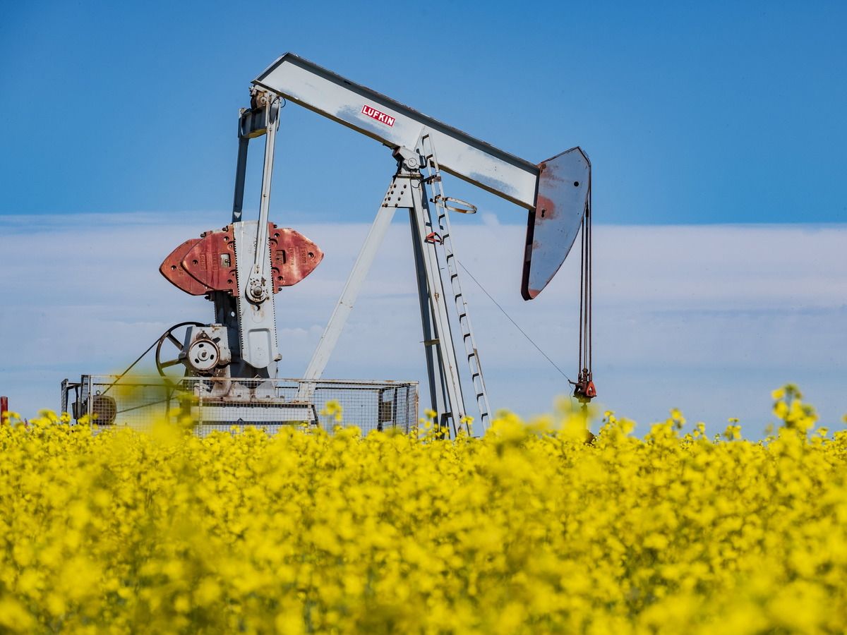 Fuelling up with a canola cash crop: FP Video Explains