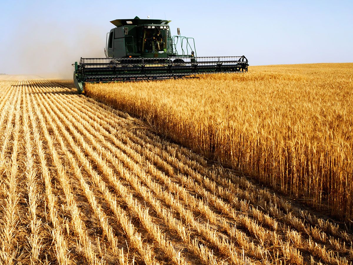 farming
