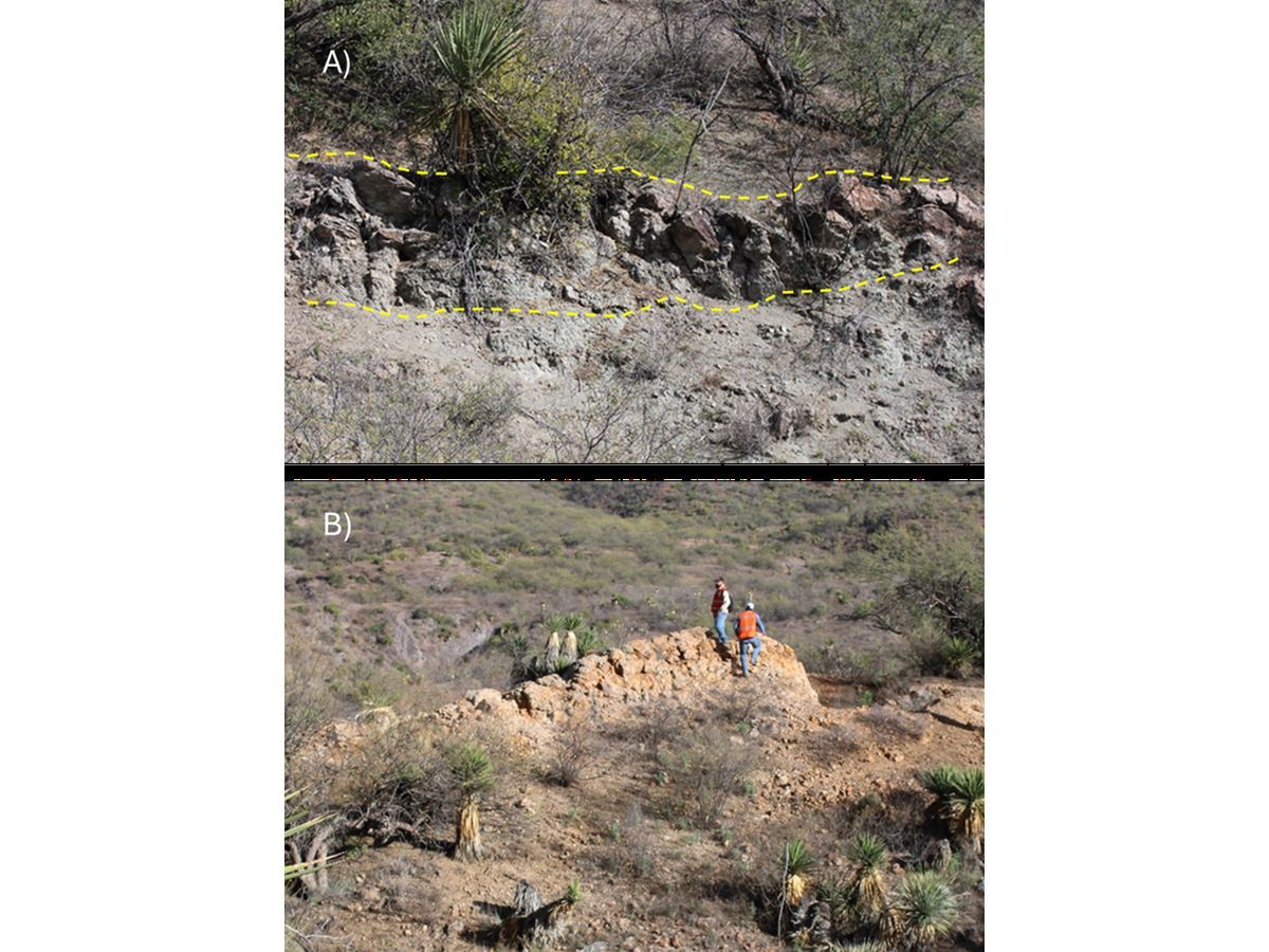 A) and B) Vein outcrops along Oso Negro Property. B) 150 m outcrop of quartz vein with 1.5 m wide.