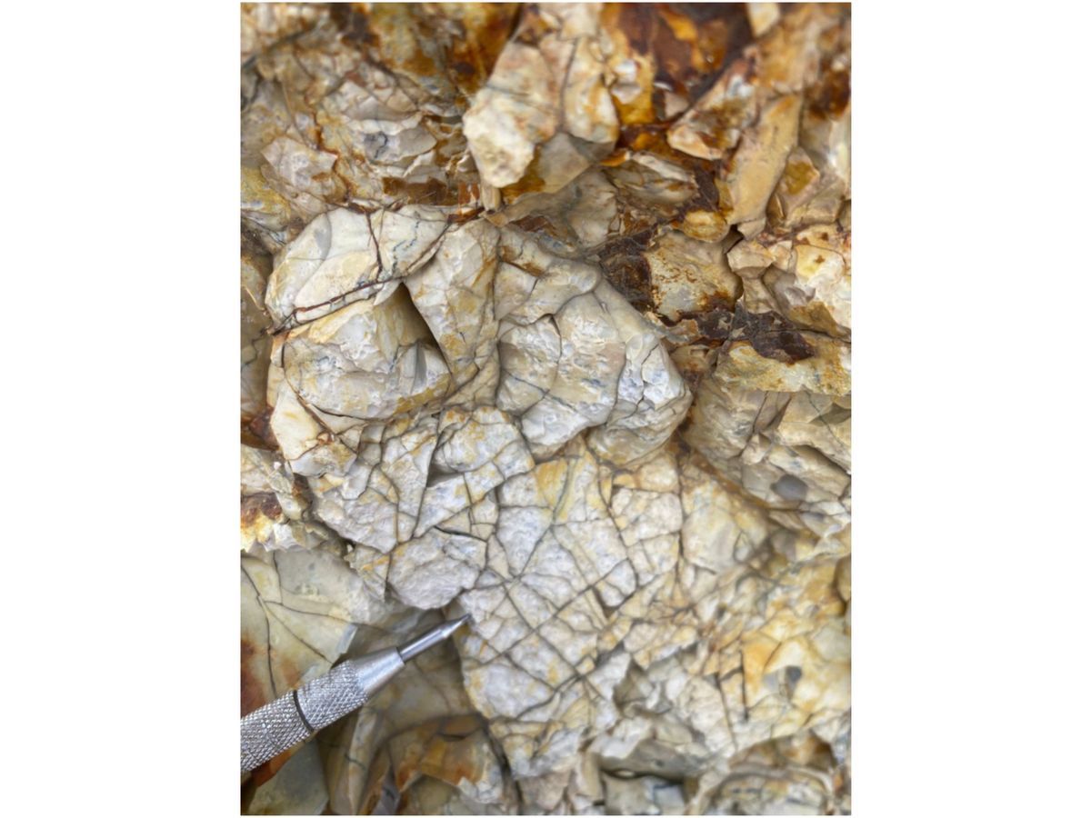 Replacement silicification and crackle brecciation