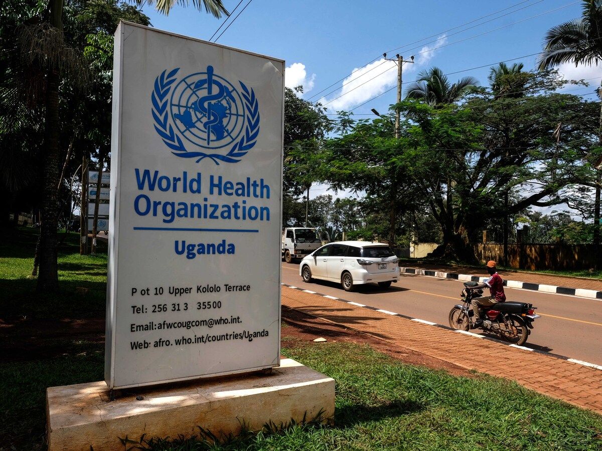 Bjorn Lomborg: The WHO’s climate prescription is bad medicine