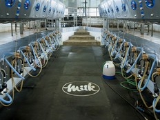 Automated milking machines, used to milk, measure, and record the amount of milk from each cow, are seen at the Mount Kolb dairy farm in Caledon, Ontario, Canada, on Wednesday, Nov. 18, 2015