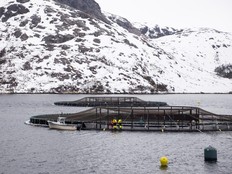 One of the Mowi Canada East aquaculture sites in Atlantic Canada that will be part of the acquisition of the company by Cooke Aquaculture Inc.