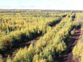 An aerial shot of Canada Nickel Company's Crawford Project site 42 km north of Timmins.