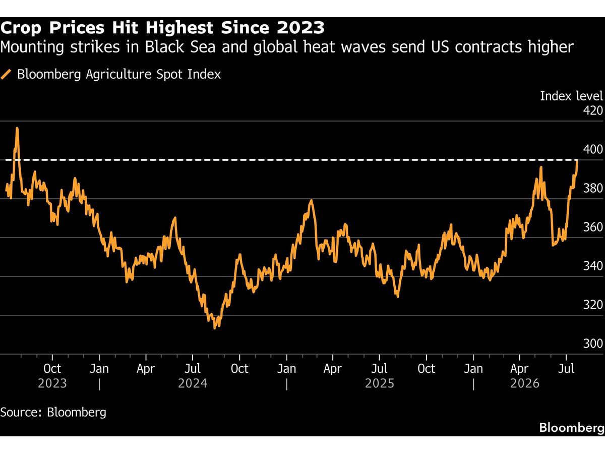 Grain Markets Catch Fire as Heat and War Rattle the Bin