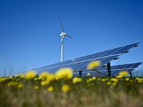 A wind turbine and solar panels in a field of yellow flowers.