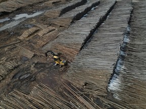 Alberta's Northland softwood lumber, a Canadian product targeted by U.S. President Donald Trump's tariffs, near Fort McMurray, Alta. on May 6, 2026,