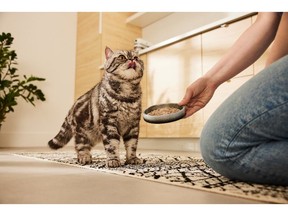 Performatrin® Culinary for Cats delivers flavour and premium nutrition that's worth meowing about.