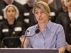 Industry Minister Melanie Joly makes an announcement about investment in a satellite at MDA in Ste-Anne-de-Bellevue, west of Montreal on June 30, 2026.