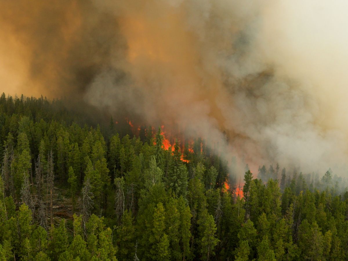 Canada is already building wildfire detection systems — we just call it defence technology