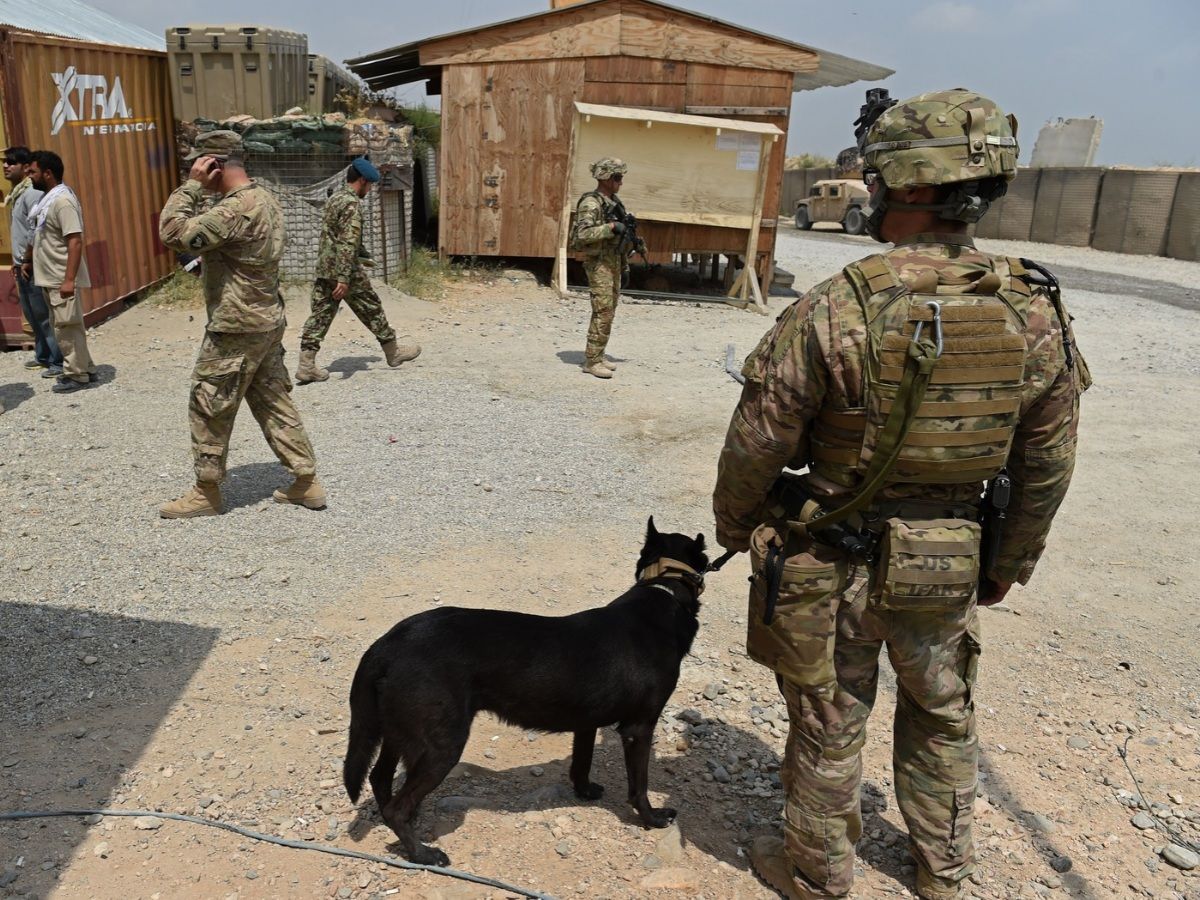 In this photograph taken on August 14, 2015, a US army soldier and military dog keep watch as Afghan National Army (ANA) soldiers walk through coalition force Forward Operating Base (FOB) Connelly in the Khogyani district in the eastern province of Nangarhar.