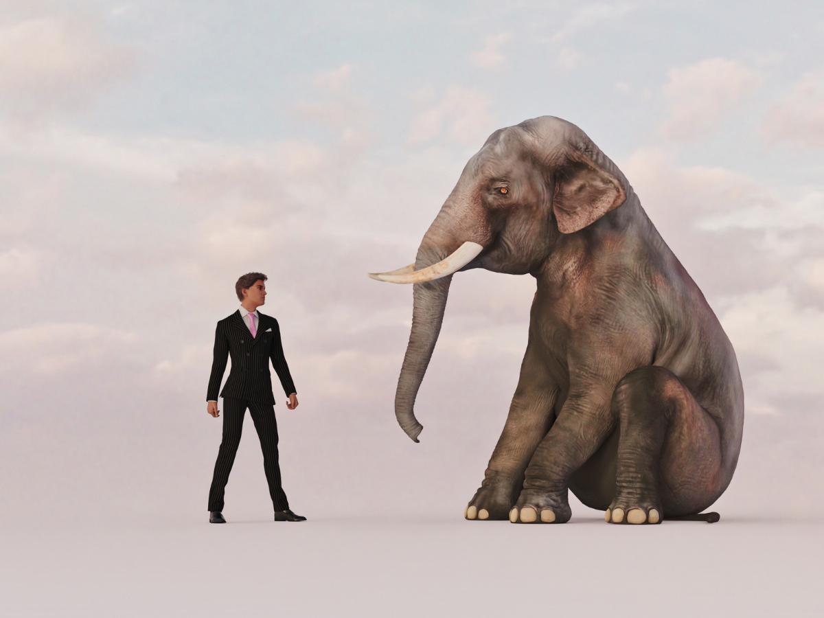 Elephant in the room series