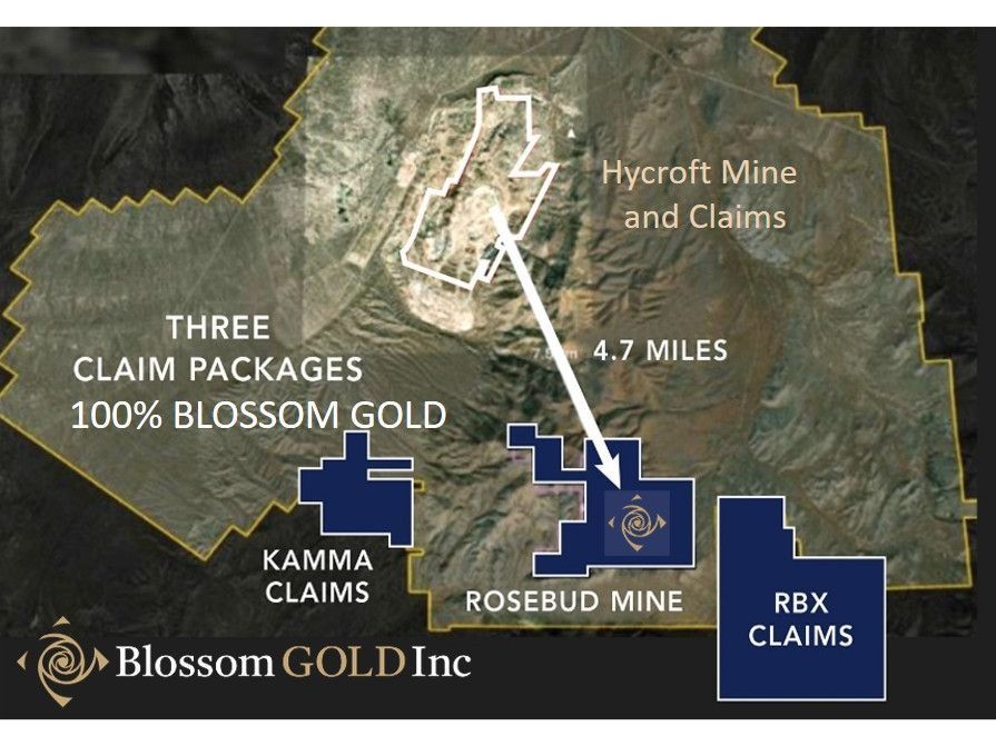 Blossom Gold Map