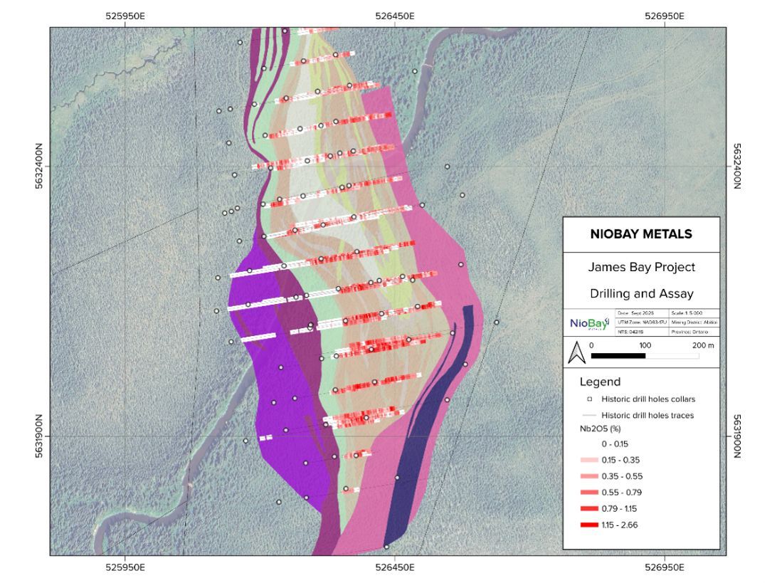 Base case for the study: mineralization on the James Bay Niobium Project (Target No. 2).
