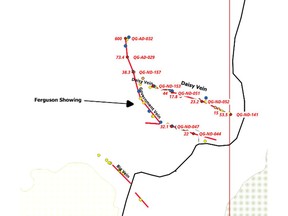 High-grade soil samples in the vicinity of the Ferguson showing will be followed up by diamond drilling as part of the planned program