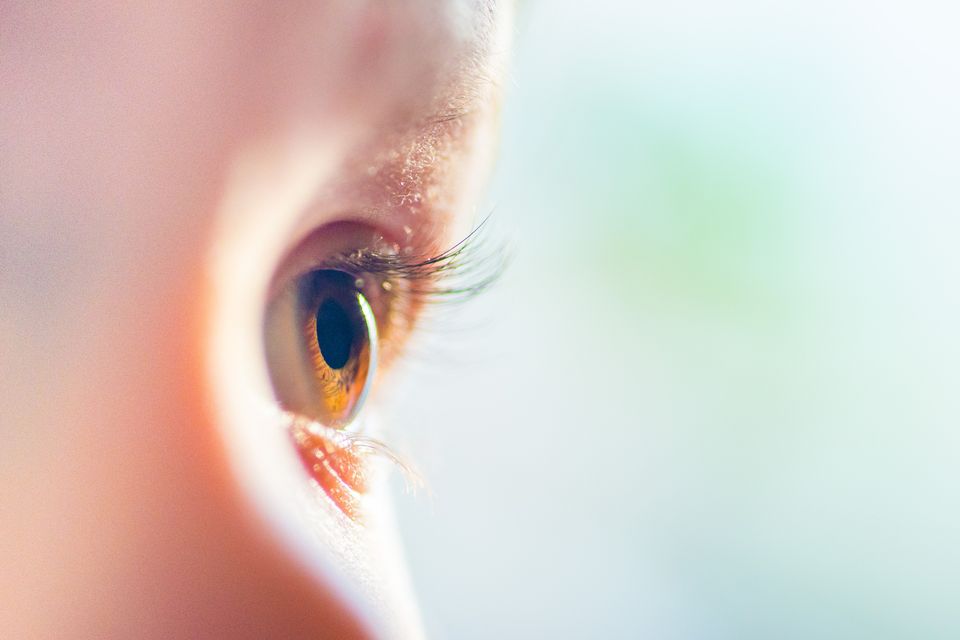 closeup photo of brown eyes