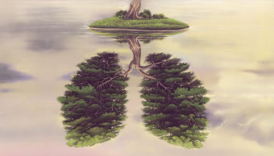 Conceptual art, Nature life and environmental concept. surreal landscape of lung tree island, painting artwork, imagination illustration, conceptual art