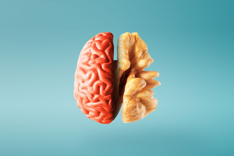 Creative concept of a healthy brain on a blue background. Close-up.