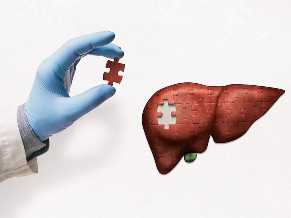 Puzzle with illustration of liver and doctor's hand with the missing piece of puzzle. Liver treatment concept.