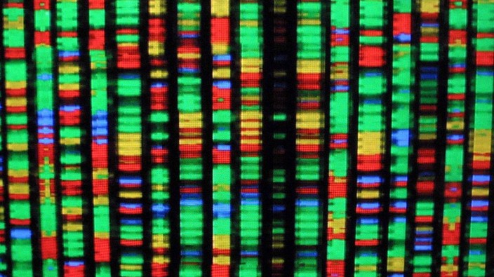 'DNA is not your destiny': Genetics a poor indicator of health