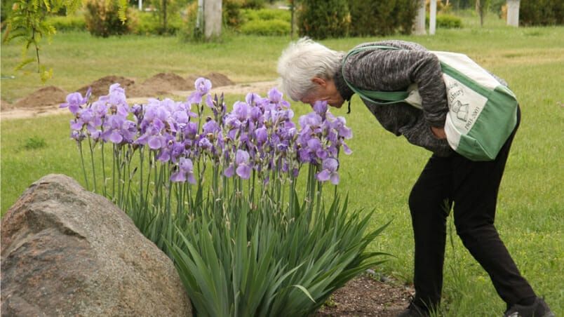 Gardens are good for humans, especially in times of crisis. Photo: Harrowsmith Magazine