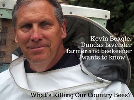 Kevin Beagle, Beekeeper