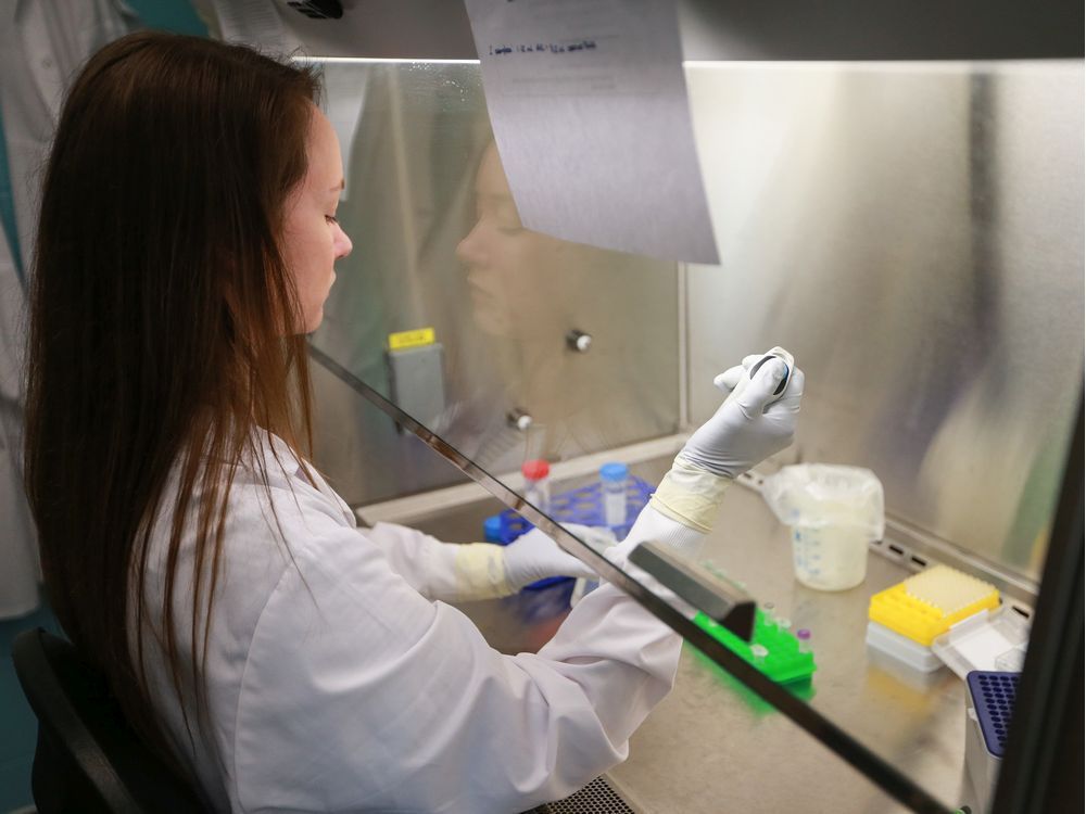 research technician michaela nickol extracts viral rna at vido-intervac where researchers are running experiments to find a vaccine for covid-19. photo taken in saskatoon, sk on friday, june 24, 2020. saskatoon starphoenix/michelle berg