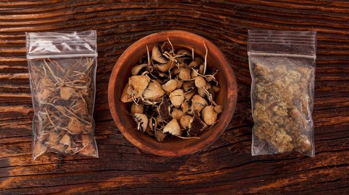 Are magic mushroom edibles Canada’s next drug trend?