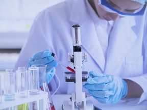 stock image of scientist preparing antibodies