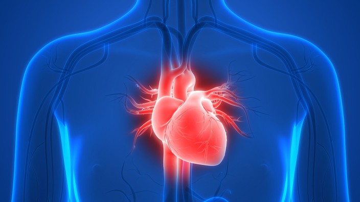 COVID-19 may be triggering stress and spike in "broken heart syndrome"