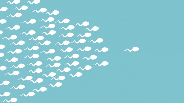 A match made in the cervix: A woman's body chooses which sperm keep swimming