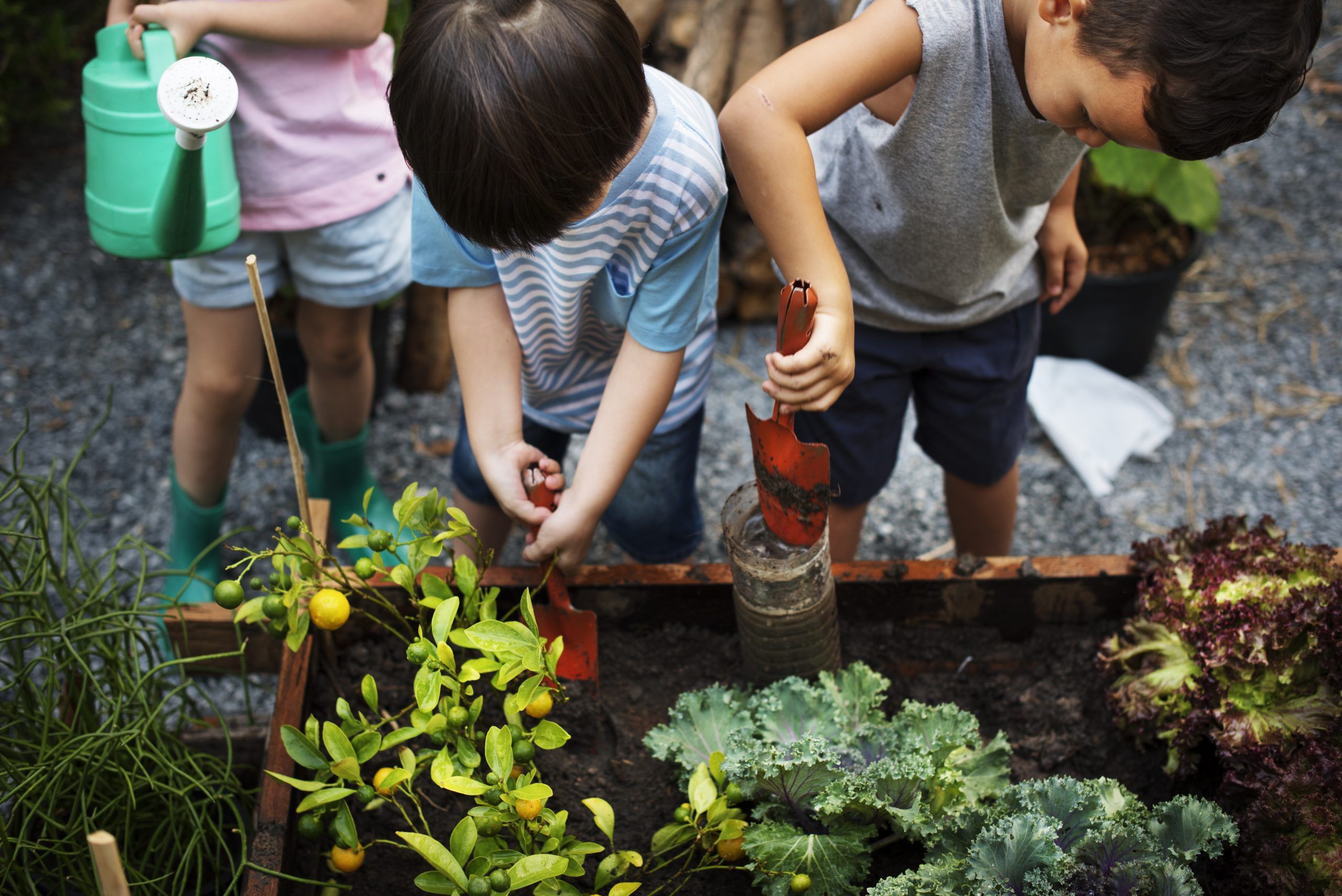 policymakers could seize this time to support schools in choosing to take students outside.