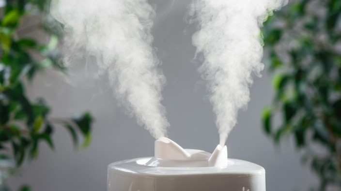 Humidifier for winter