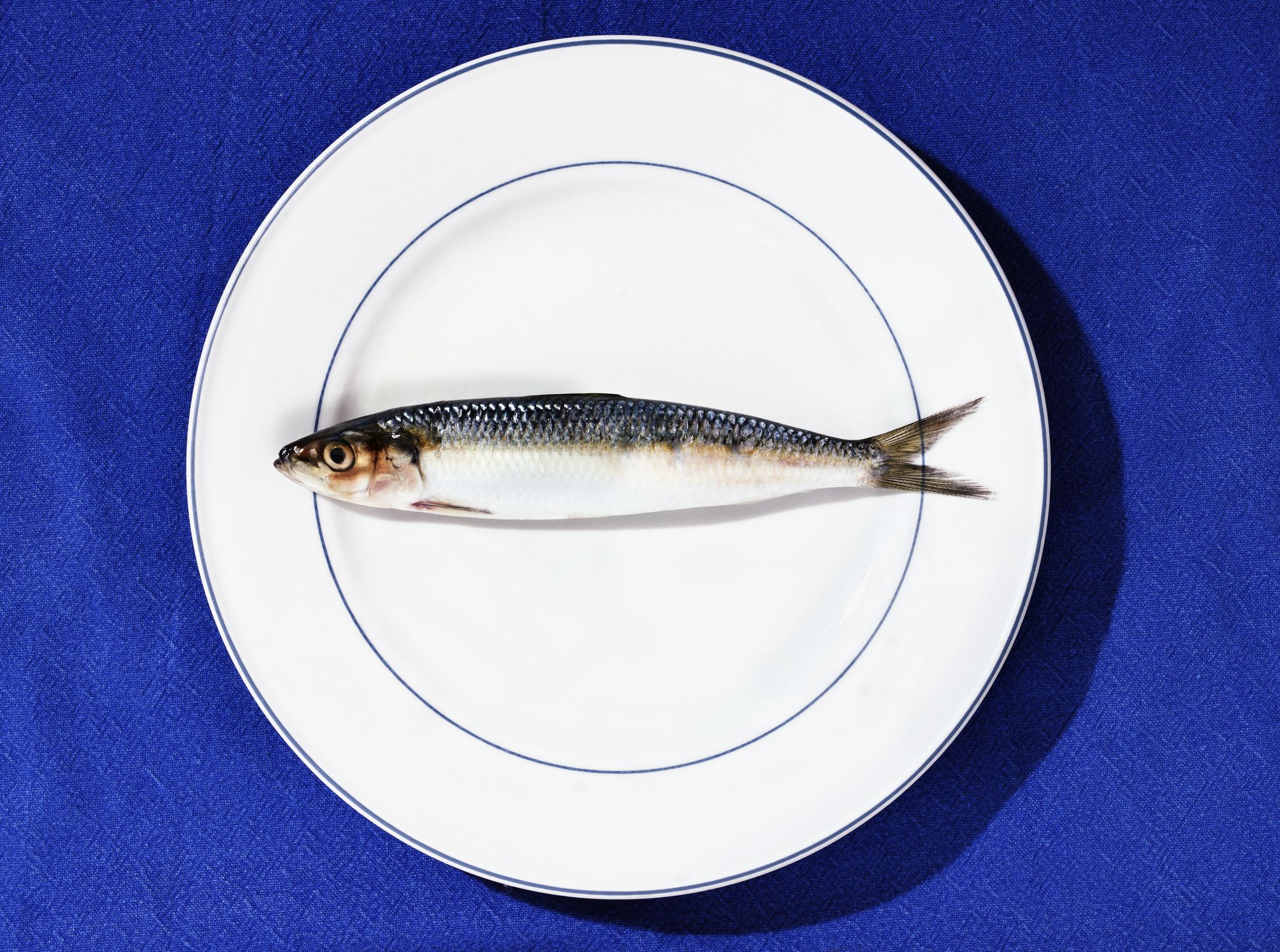 Fish are rich in Vitamin D which may help you manage psoriasis