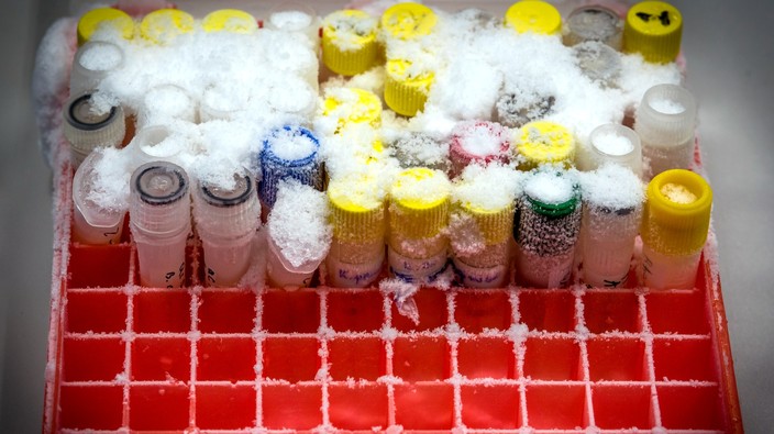 Pfizer's vaccine needs deep freeze storage: just one reason for cautious optimism