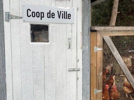 chicken coop