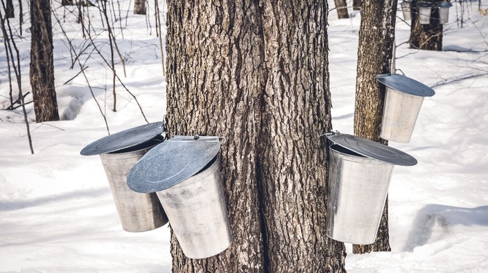 Maple syrup time and simple evaporating stoves
